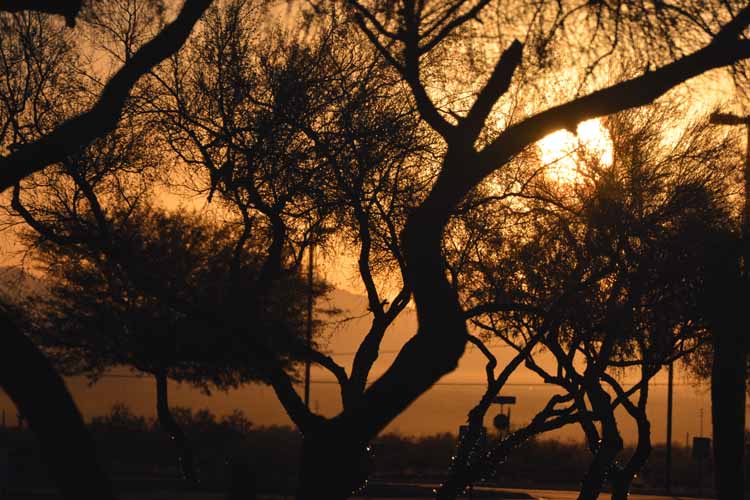 sunrise